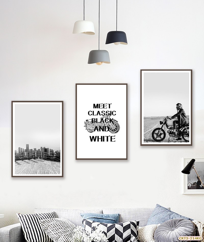 Xe và Cánh đồng CKT3-214KG